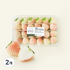 올푸릇 무농약 인증 화이트 딸기, 2개, 480g(중과)
