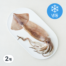 오바다 원양산 통오징어 (냉동), 2개, 240g(대)