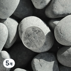 수아쿠아 네이처굿즈 흑자갈 25~30mm, 5개, 2kg