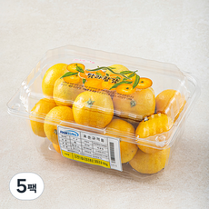 탐라황감 꼬마감귤, 800g, 5팩