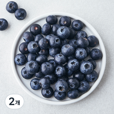 국산 블루베리, 200g, 2개