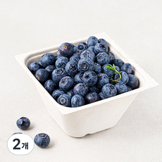산지직송 아주마 무농약 인증 영동 블루베리, 250g, 2개
