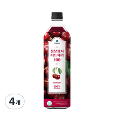 맑은내일 몽모랑시 타트체리 100 과채주스, 1L, 4개