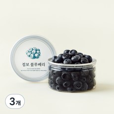 바로먹는 점보 블루베리, 200g, 3개