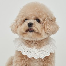 DOG-i 可愛領巾, 蕾絲白, 1個