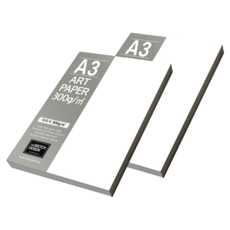 厚磅美術紙, 100個, A3