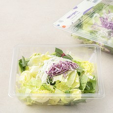 캐비지 샐러드, 65g, 1개