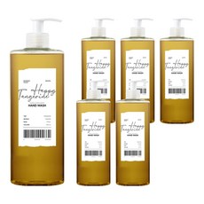 미미로린스 모먼트 플랜트 핸드워시 해피텐져린, 500ml, 6개