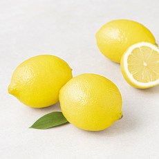곰곰 호주산 레몬, 1개, 500g