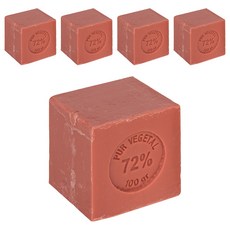데오필버톤 레드푸룻향 마르세유 비누, 100g, 5개