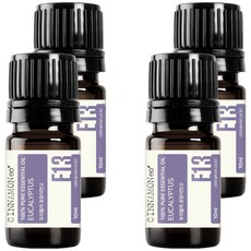 시나몬이오 아로마 에센셜 오일 E13, 유칼립투스, 10ml, 4개