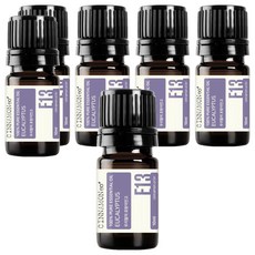 시나몬이오 아로마 에센셜 오일 E13, 유칼립투스, 10ml, 6개