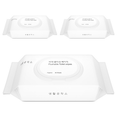 Saengong 生活工作所 掀蓋濕式衛生紙, 60張, 3包