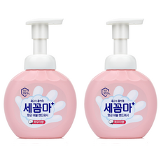 세균아꼼짝마 항균 버블 핸드워시 파우더향, 250ml, 2개