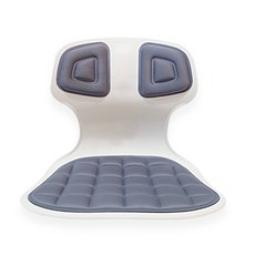 팬물산 픽스 바디체어 자세보정 의자, 그레이