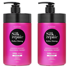 엘라스틴 실크리페어 퍼펙트 샤이닝 골드실크 트리트먼트, 1L, 2개
