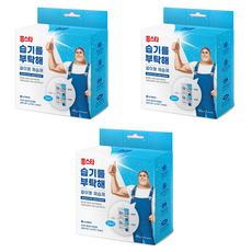 홈스타 습기를 부탁해 걸이형 제습제 본품, 30g, 12개