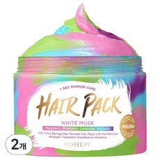 바이오레시피 1초 데미지케어 4 In 1 system 헤어팩, 300g, 2개