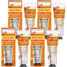 버츠비 핸드크림 오렌지블라썸 피스타치오, 28.3g, 4개