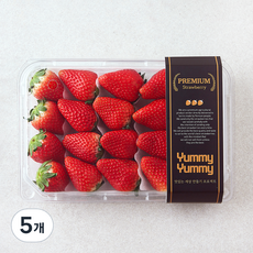 여미야미 한단 비타베리 딸기 대과, 5개, 500g