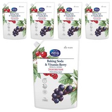 키친솝 베이킹소다 비타민베리 주방세제 R, 1L, 5개