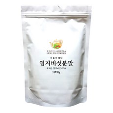 서울아레나 영지버섯 분말, 1개, 1.2kg