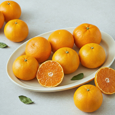 곰곰 제주 감귤, 1개, 1.5kg(대과)