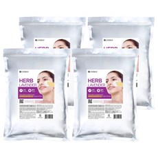 린제이 프리미엄 라벤더 모델링팩 1kg, 1개입, 4개