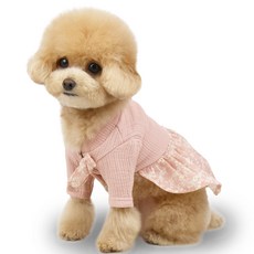 Grooming Dog 寵物純棉元旦韓服捲軸, 粉色的