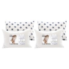 아임리빙 마일드 마이크로화이버 베개솜 + 베개커버, 츄잉, 2개