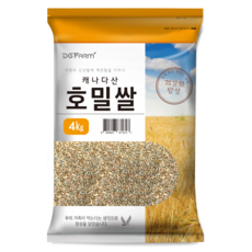 대구농산 캐나다산 호밀쌀, 4kg, 1개