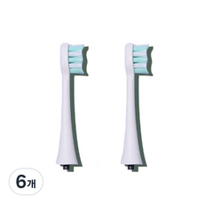 덴탈픽 전동칫솔 호환 기본 칫솔모 2p 화이트, DP-9001, 6개