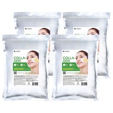 린제이 프리미엄 콜라겐 모델링팩 1kg, 1개입, 4개
