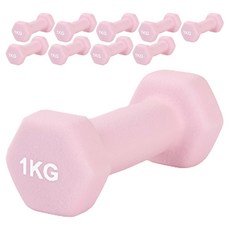 리브스포 논슬립 아령, 1kg, 10개