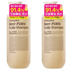 Healing Bird 啤酒PDRN防脫髮洗髮精, 2個, 1L