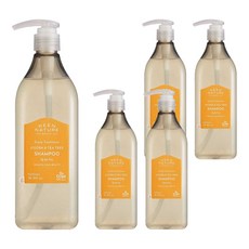닥터올가 스칼프 호호바 티트리 샴푸, 500ml, 5개