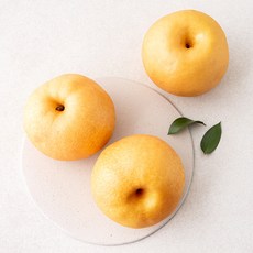 다조은 당도선별 신고 배, 1.5kg(대), 1개