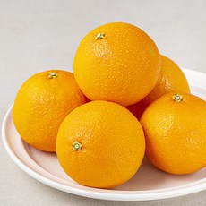 곰곰 당도선별 서귀포 황금향, 1.2kg, 1봉