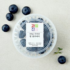 국내산 과일진심 왕 블루베리, 1개, 100g