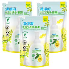 清淨海 環保洗手慕斯, 450g, 3包