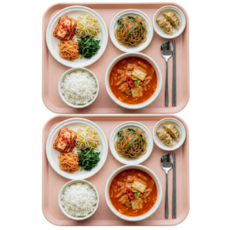 미니모 국산 고강도 컬러 쟁반 트레이, 다크피치, 2개