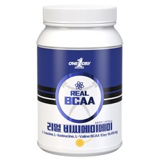 ONE DAY NUTRITION Real BCAA補充粉, 1個, 500克