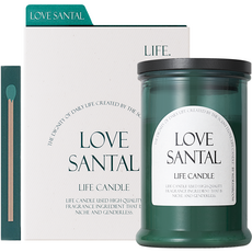 自然生命蠟燭, 戀愛關係