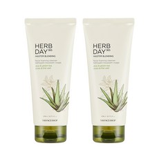 THE FACE SHOP 菲詩小舖 草本季節泡沫洗面乳 蘆薈綠茶款, 170ml, 2條