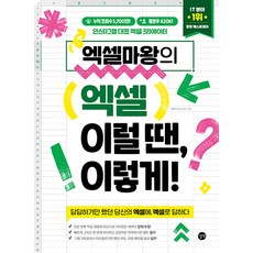 엑셀마왕의 엑셀 이럴 땐 이렇게!, 길벗, 임규범