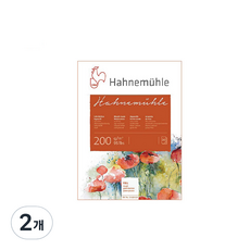 Hahnemuhle 水彩畫本 粗紋 rough 20張 200g, 2個