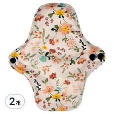 Baide 低刺激成人抗菌尿布 4號, 1枚入, 2個