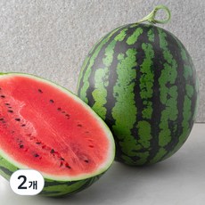 곰곰 당도선별 수박(11 brix 이상), 7kg 이상, 2개