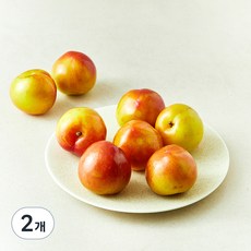 새콤 달콤한 자두, 1kg(소과), 2개