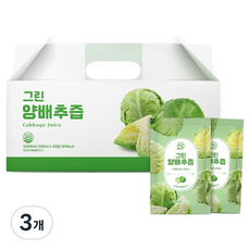 푸딩스 그린앵배추즙 30p, 3개, 3L